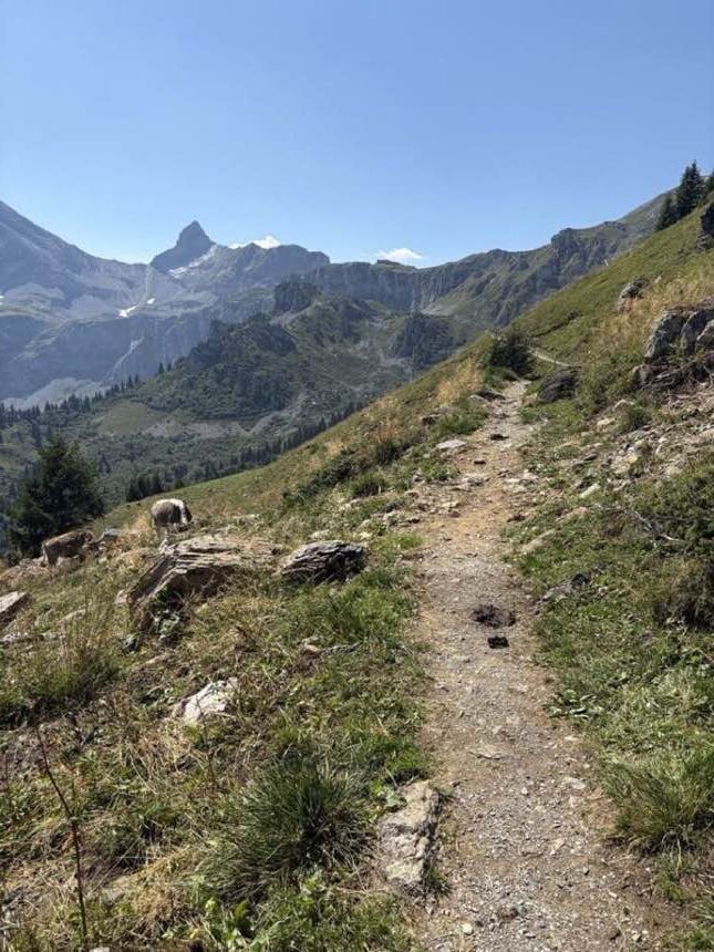 Hiking trail leading toward a sharp rocky summit under a clear sky