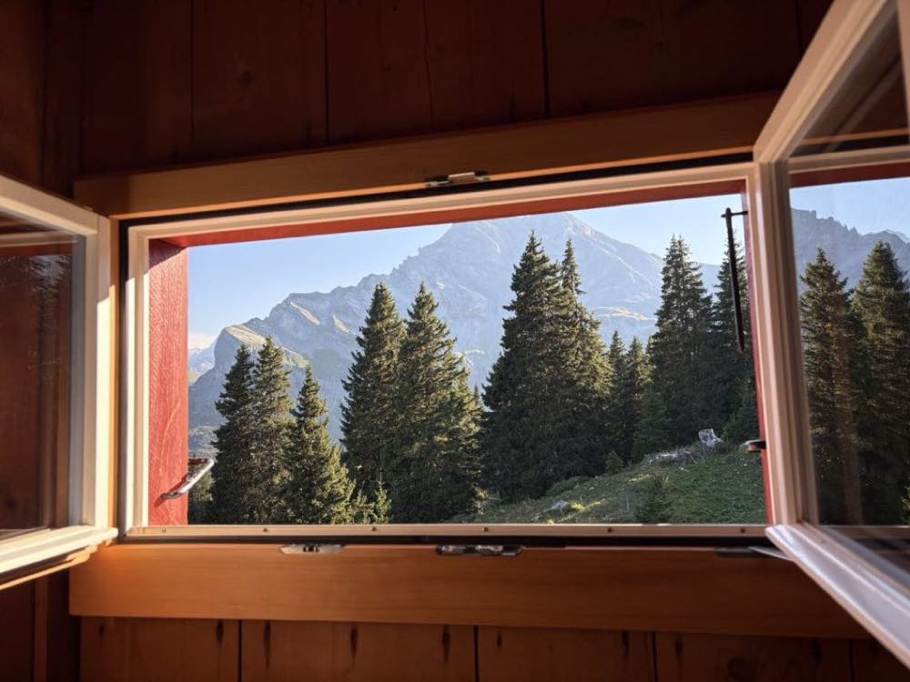 Open chalet window looking out to fir trees and a sunlit mountain