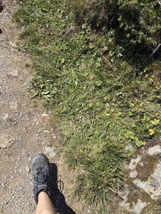 A hiker's boot resting on a stony alpine trail